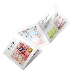 Custom Travel Z-Fold Flyers