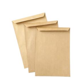 Custom Standard Kraft Envelope