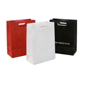 Custom Paper Bags with Die-Cut Handle