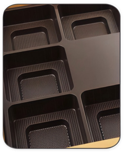 Blister Insert